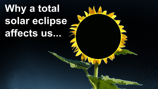 Sunflower-Eclipse-bestDark